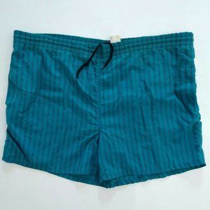 VTG 80's 90's Pacific Scene Striped Swim Trunks Men's Size L Aqua Surf Nylon